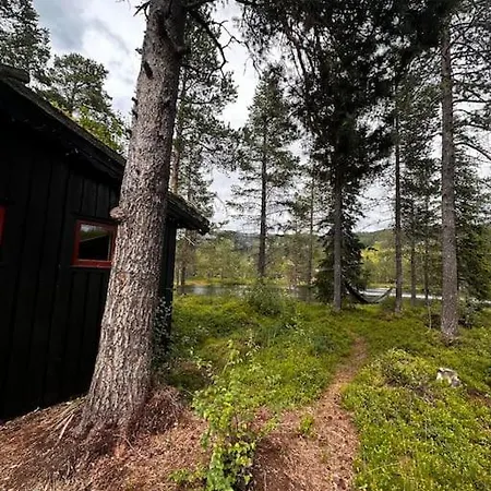 Idyllisk Sted Pa