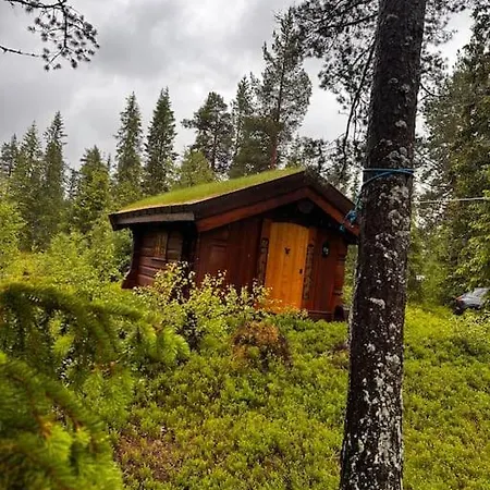 Idyllisk Sted Pa 度假居 Oyfjell