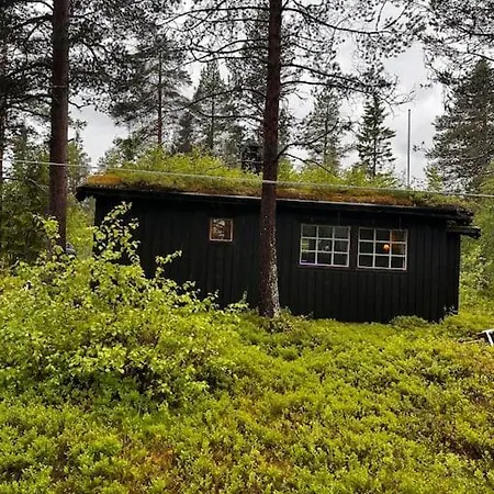 Idyllisk Sted Pa 度假居 Oyfjell